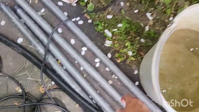 АБИССИНСКАЯ СКВАЖИНА. КАК СДЕЛАТЬ САМОМУ. смотреть онлайн