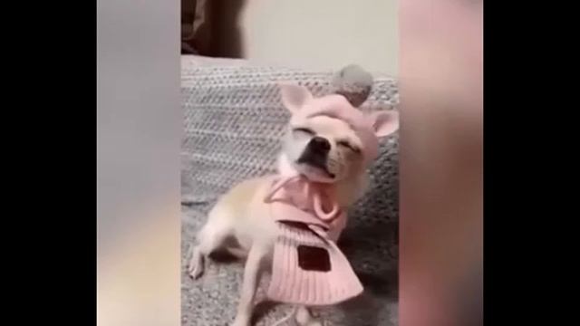 Смотреть только со звуком ))) смотреть онлайн