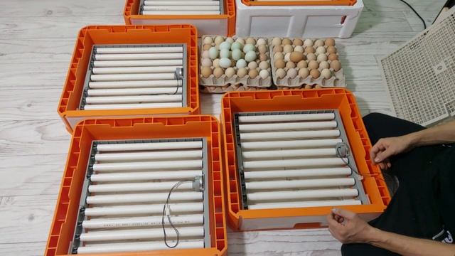 Инкуб Комфорт/Полная закладка/Нет влаго-испарителя/обзор панели управления/моем яйца перед закладко смотреть онлайн