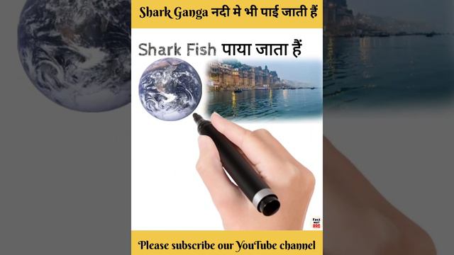 Ganga नदी मे Shark🦈मछली ।। क्या Ganga👈नदी मे Shark Fish 🐠 भी रहती हैं ।। #factwithrrg смотреть онлайн