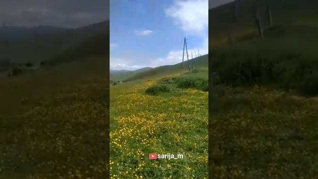 Даргинские песни и отдых на природе в горах Дагестана ни с чем не сравнить 👍👍👍👏👏👏🔥🔥🔥🔥🔥 смотреть онлайн