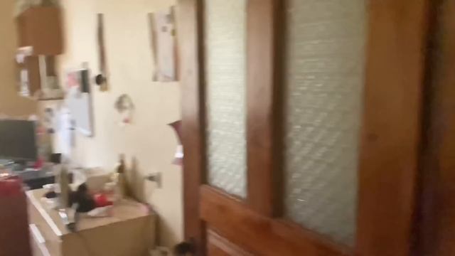 В поисках идеального дома для ПУШИСТОЙ ОБЩАГИ смотреть онлайн