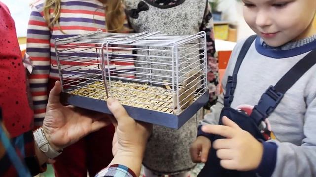 Школа раннего развития детей в г. Минске "Экознайка" приглашает в гости! смотреть онлайн