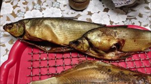 Рыба горячего копчения. Пелядь(сырок),камбала копчёная.Коптим на даче.