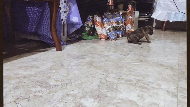 Caught in 4k смотреть онлайн