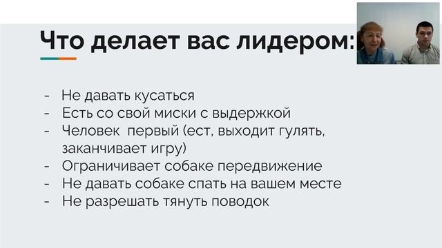 Как стать лидером для своей собаки смотреть онлайн