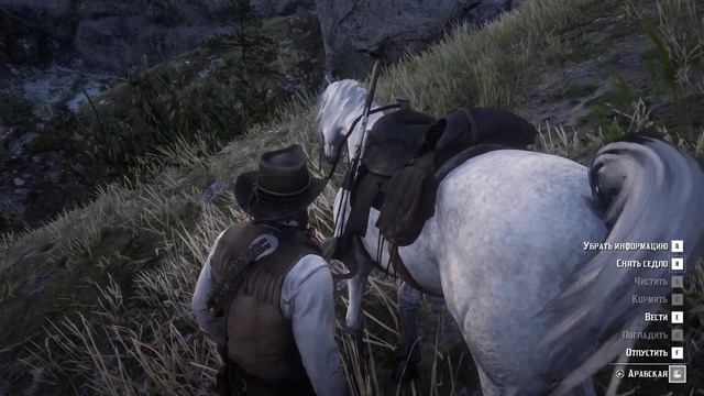 Red Dead Redemption 2 Horses - Arabian. ALL Arabian Horses Read Dead Redemption 2.