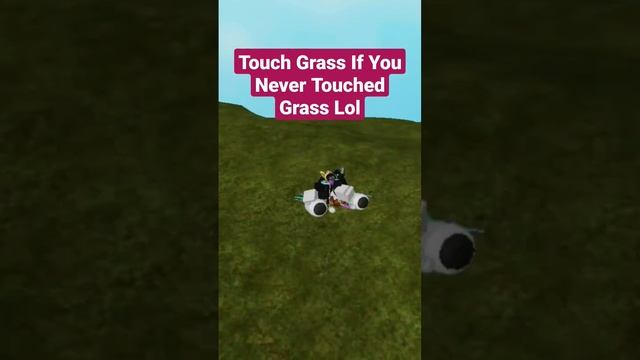 Touch Grass If You Never Touched Grass Lol #roblox #trending #robloxshorts #robloxedit смотреть онлайн