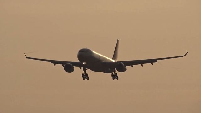 WOW! Awesome Arrivals At Brussels Airport (BRU) B777, B787, A350, B787