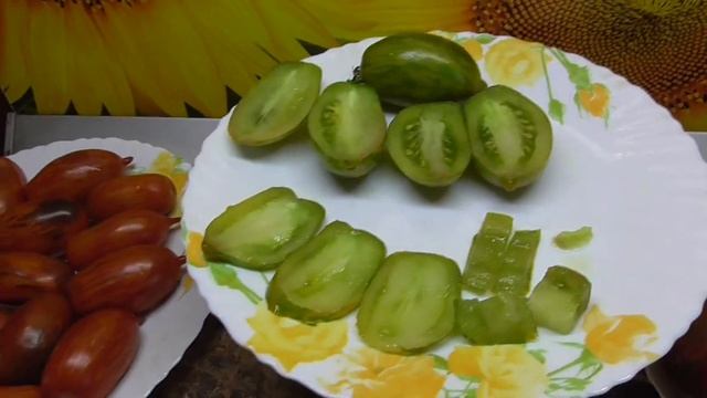 Томатные Гномы - новинки 2022 года. Гном Дерзкая Мери - красивый, урожайный, вкусный! Дегустация. смотреть онлайн