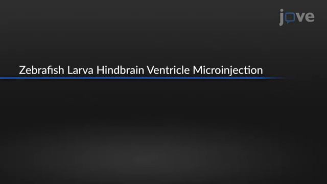 Host-Pathogen Interaction Analysis by infection of Larvae with Spores | Protocol Preview смотреть онлайн