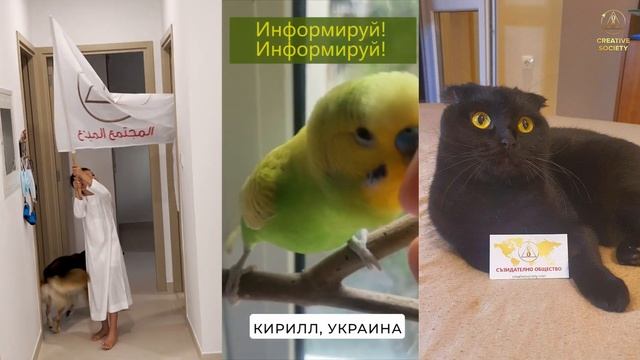 Как стать волонтёром Созидательного общества смотреть онлайн