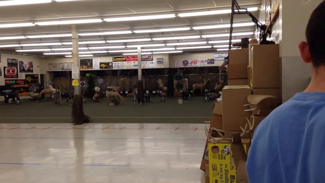 Indoor 3d archery at Presley's Outdoors on spring break 2013 смотреть онлайн