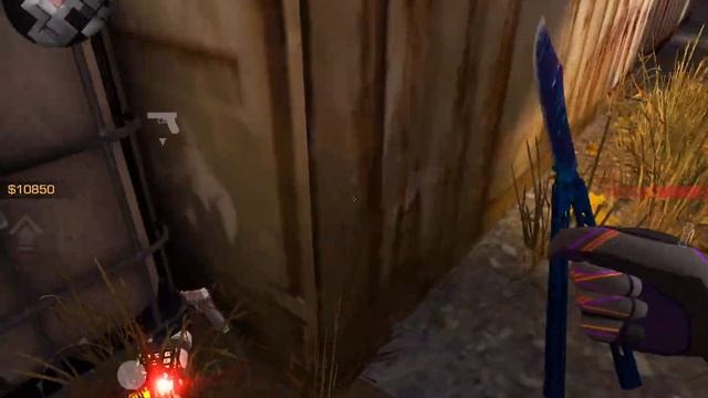 ?бомба научилась ходить смотреть онлайн