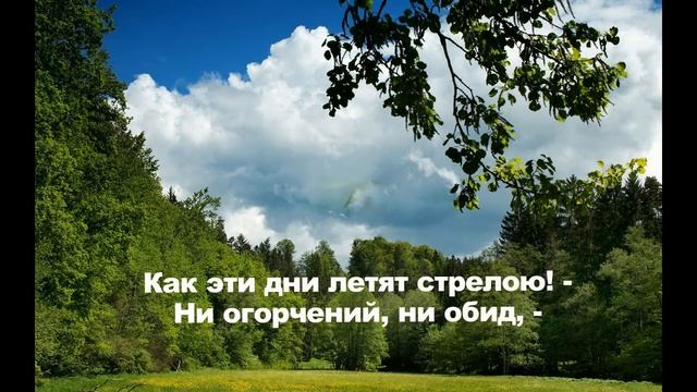 Лесная симфония смотреть онлайн