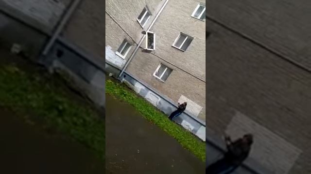 Диван не влез в дверь смотреть онлайн