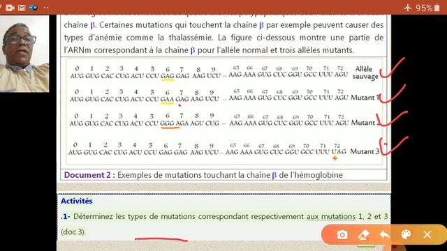 Génétique des populations : Séquence 3 _ Les mutations et la variabilité génétique _ Avril 2020 смотреть онлайн