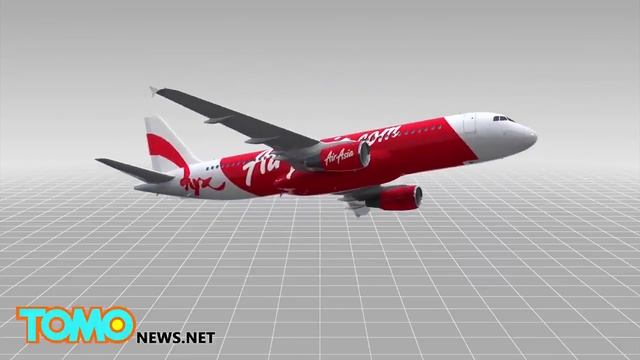 Air Asia crash: Plane fuselage of flight QZ8501 found beneath Java Sea смотреть онлайн