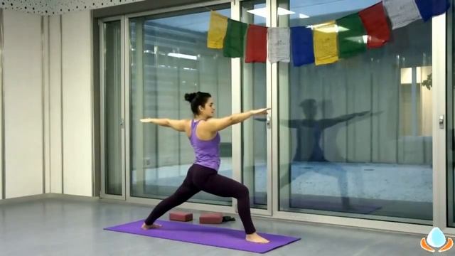 Clase completa de yoga dinámico para principiantes en español смотреть онлайн