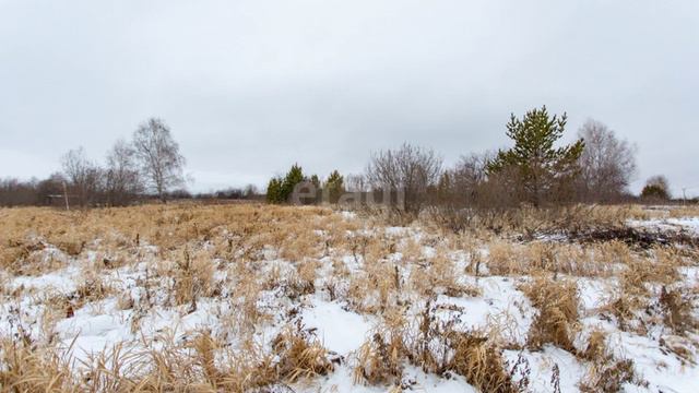 10263252 смотреть онлайн