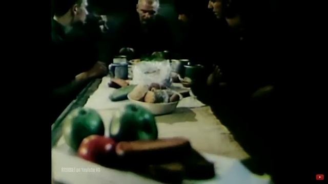 Кубинские тараканы смотреть онлайн