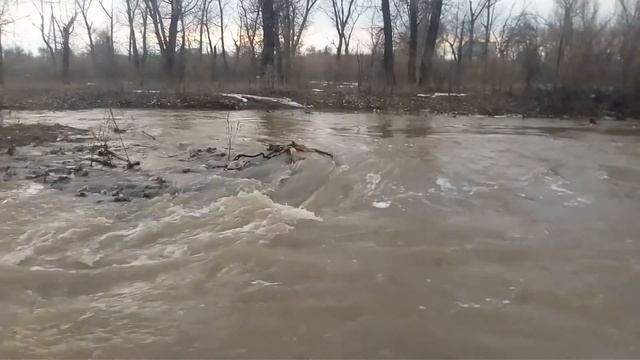 Ручей Берёзовый (г.Калач-на-Дону) смотреть онлайн