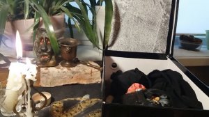 ОБРАТКА ЧЕРЕЗ ПОКОЙНОГО НА ВРАГА,  СОПЕРНИЦУ, СУЩНОСТЬ. В ТОПКУ!!!《♤》