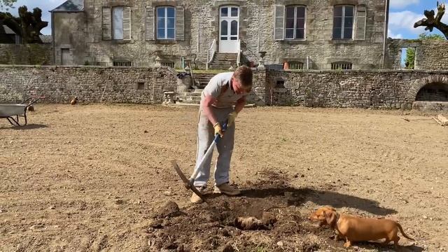The Walled GARDEN MAKEOVER | Restoring the Châteaux Layout. смотреть онлайн