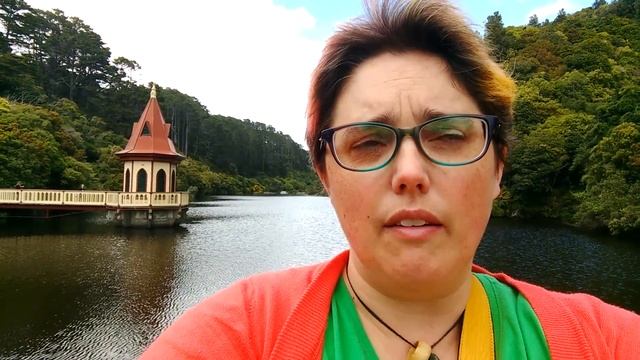 Bird of the Year - the truth journey begins смотреть онлайн