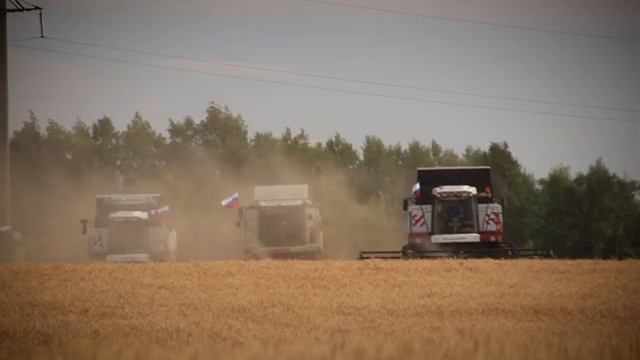Жатва под раскаленным солнцем смотреть онлайн