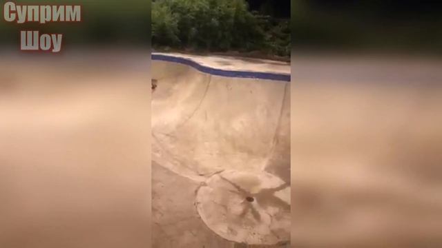 КРЫСА В ДЕЛЕ! Крыса против Кошки Змеи Голубя Жабы и Петуха смотреть онлайн