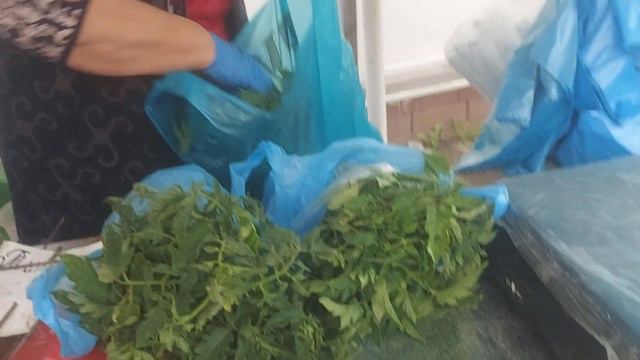 Купить рассаду на рынке Ст. Выселки Краснодарского края.. смотреть онлайн