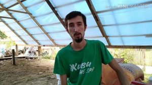 Разведение индюков как основной вид деятельности от А до Я #1. Пошаговый старт. Анонс серии.