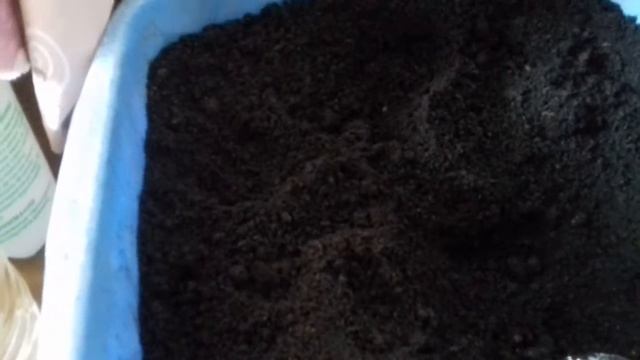 Пикировка огурцов смотреть онлайн