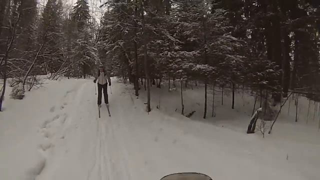 Поездка на лыжах Малино-Аникеевка 7.02.2015 смотреть онлайн