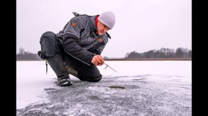 Зимняя рыбалка. На лед с жерлицами и удочкой. Ловля щуки, окуня и плотвы