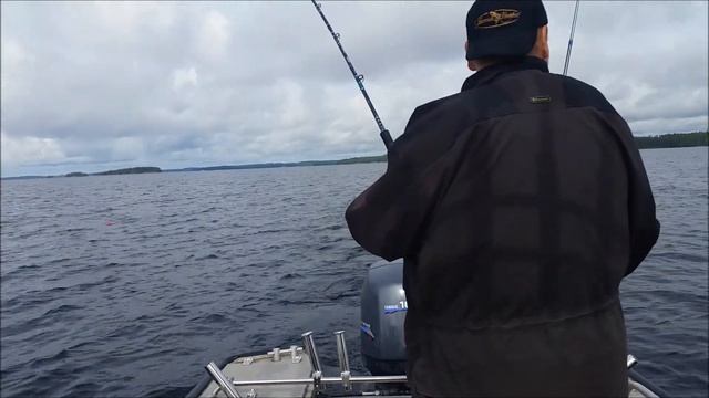 ISO KUHA Saimaa смотреть онлайн