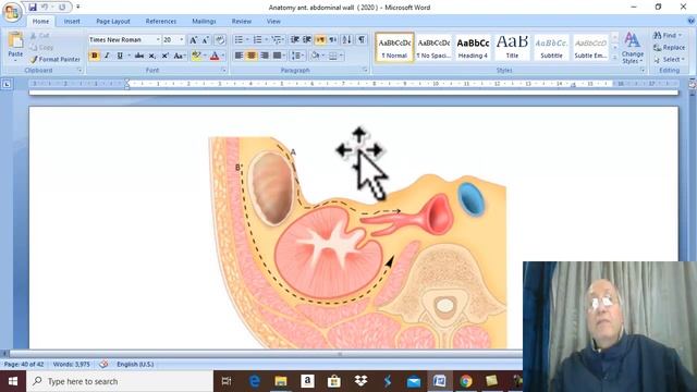 Anatomy GIT module 2020 ( Applied anatomy anterior abdominal wall ) , by Dr. Wahdan смотреть онлайн