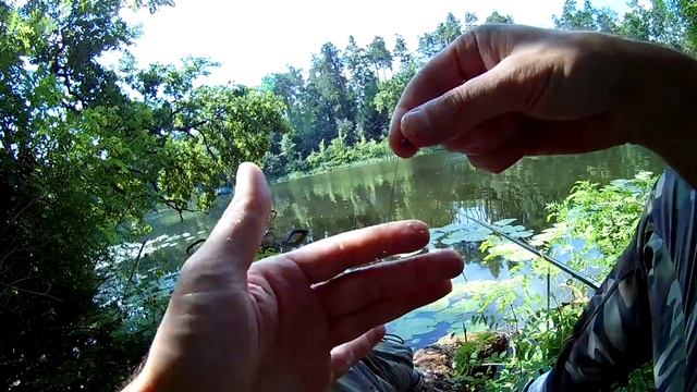 Рыбалка на поплавок Секреты ловли смотреть онлайн