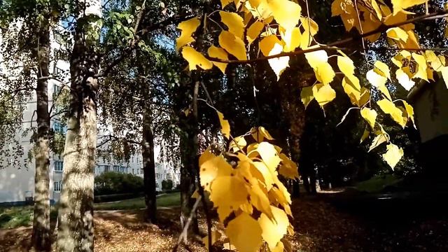 Что такое осень это небо, Плачущее небо под ногами смотреть онлайн