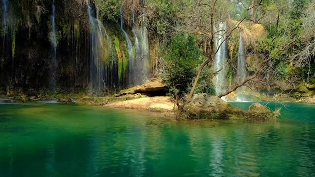 Лесные звуки для быстрого сна и расслабления смотреть онлайн