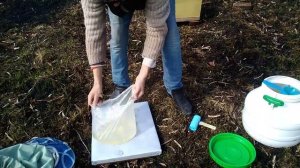 Как подкормить пчел сахарным сиропомКак нарастить пчел весной