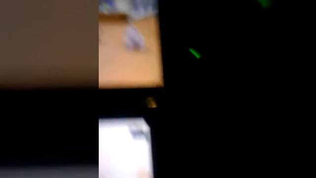 Nintendo DS game. Nintendo Cats + Dogs. смотреть онлайн