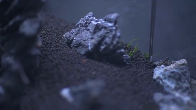 Декорации для аквариума своими руками смотреть онлайн