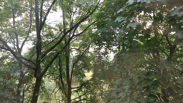 про квитанции петроэлектросбыт и задолженности по фонду кап ремонта смотреть онлайн