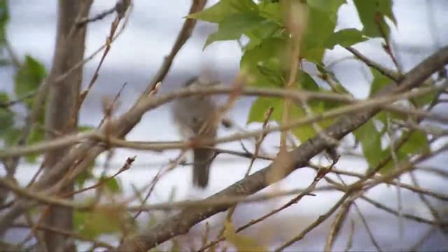 20May2013VolgaDay смотреть онлайн