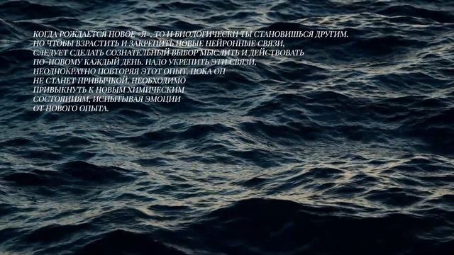 ЦИТАТЫ КНИГИ. САМ СЕБЕ ПЛАЦЕБО: КАК ИСПОЛьЗОВАТь СИЛУ ПОДСОЗНАНИЯ ДЛЯ ЗДОРОВьЯ И ПРОЦВЕТАНИЯ смотреть онлайн