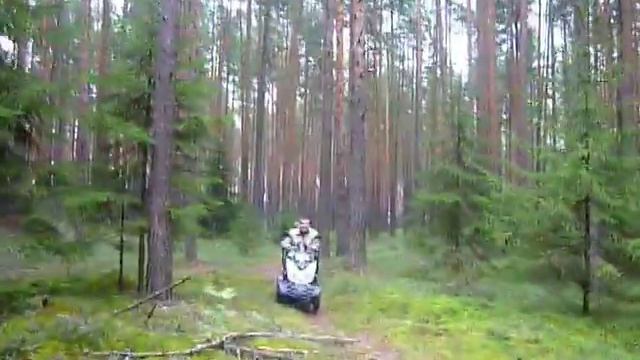 Электроскутер МТ-096 в лесу,бор. elektroskuter, scooter смотреть онлайн