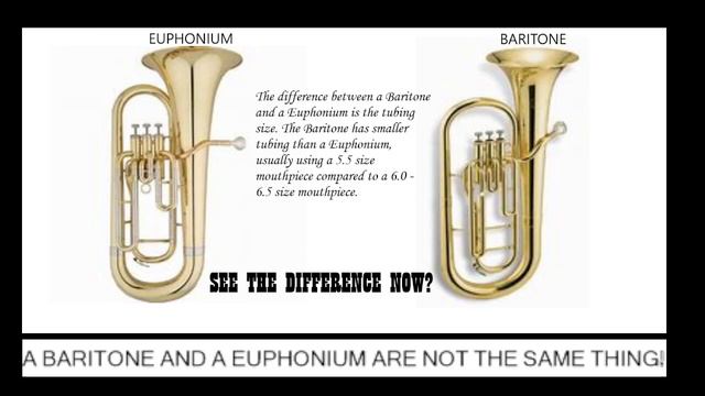 a baritone is not a euphonium смотреть онлайн