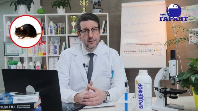 БРОДЕФОР - родентицидный препарат I Концентрат от крыс и мышейIВидеонструкция приготовления приманк смотреть онлайн